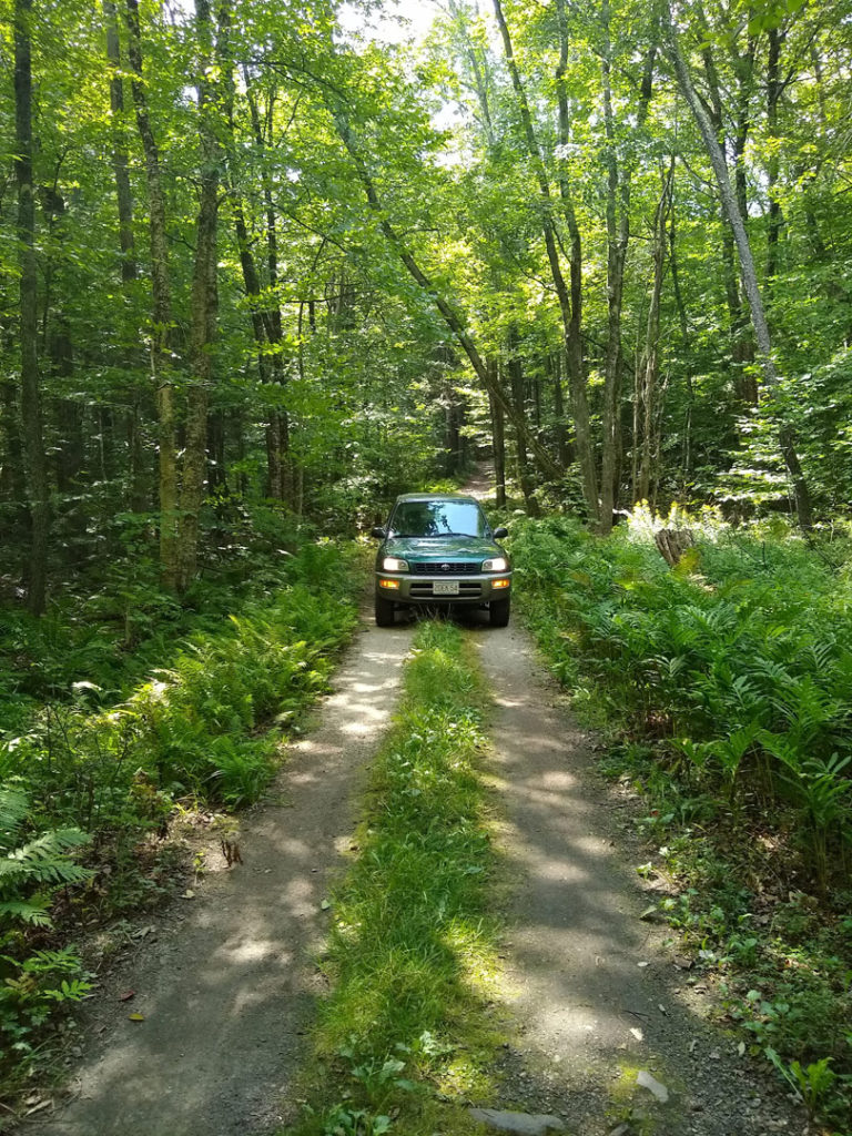 1998 Toyota RAV4